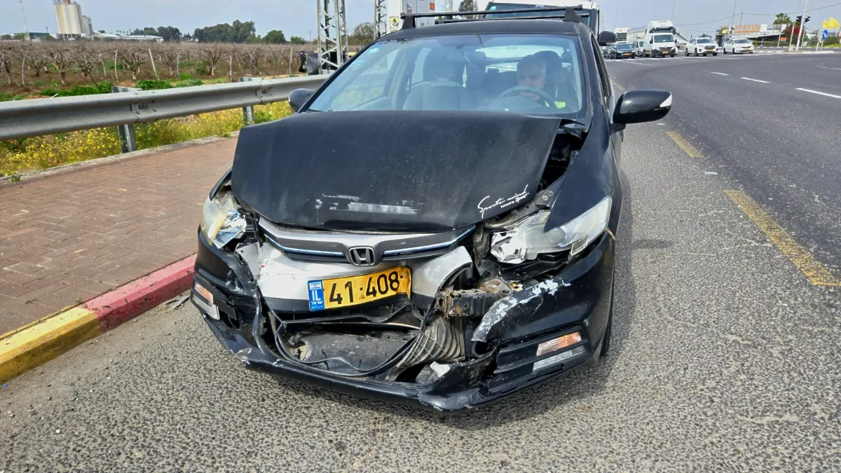תמונה 2